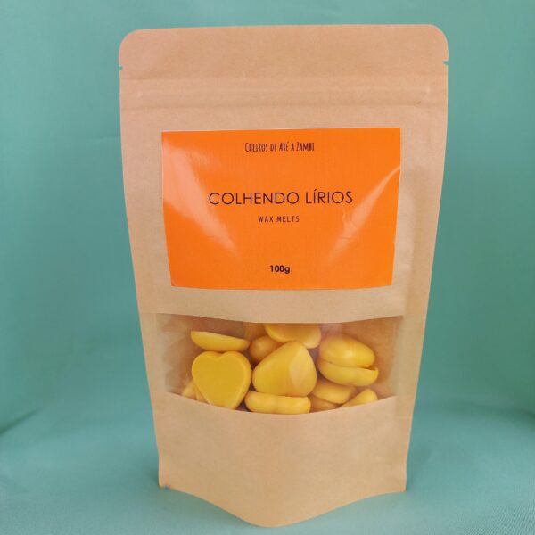 Wax Melts - Colhendo Lírio